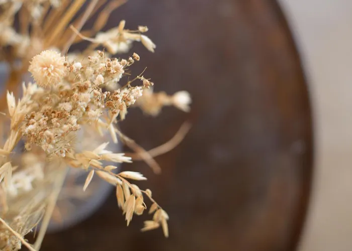 De La Geria Сasa de vacaciones *