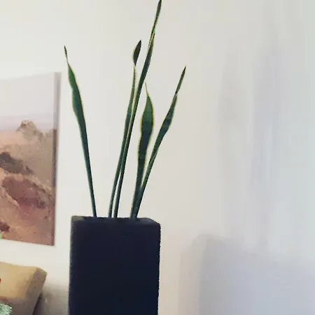 De La Geria * 雅伊萨